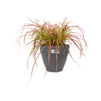 vibia campana rund 47cm anthrazit